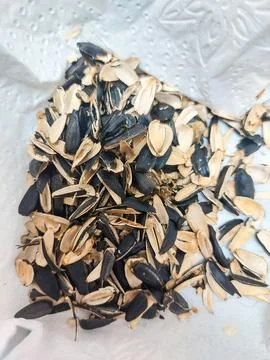 Empty Sunflower Seed Husks Background Stock Photos