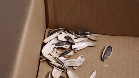 Empty sunflower seed shells in a cardboard box Stock Footage 329891984