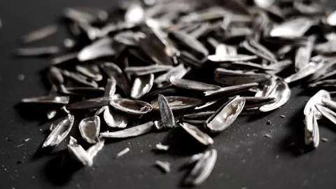 Empty sunflower seed shells scattered on a dark surface. Stock Footage 329098079