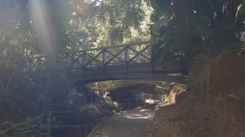 An empty sunlit area of Griffith Park with Bridge Stock Footage 319351517