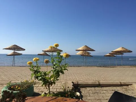 Empty sunny beach with umbrellas the background of the sea Stock Photos
