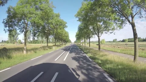 Empty sunny road amoung the trees Video stock 83499365
