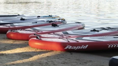 Empty SUP boards sway on the waves on a calm river or lake. Water sports. L.. Stock Photos