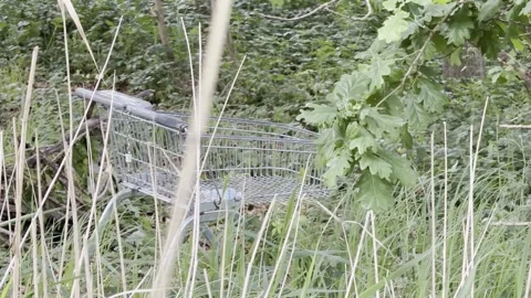 Empty supermarket trolley dumped in wild nature Stockbeeldmateriaal 335541212