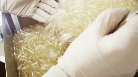 Empty Supplement Capsules being Poured in a Production Machine Stock Footage 50053571