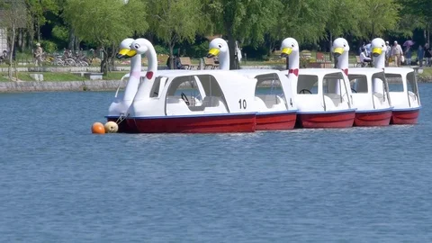 Empty swan boats floating in line Stock Footage