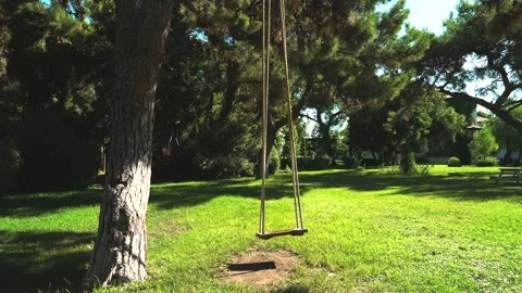 An empty swing attached to the top Stock Footage 139097983