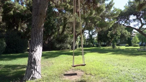 An empty swing attached to the top of a tree Stock Footage 139097988