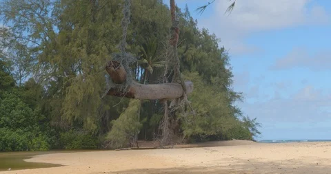 Empty Swing on Beach Stock Footage 121597472