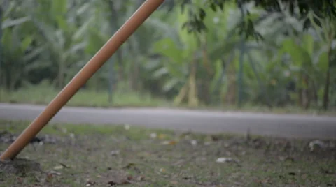 Empty swing 库存影片 30462746