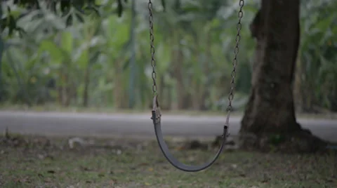 Empty swing Stock Footage 30462747