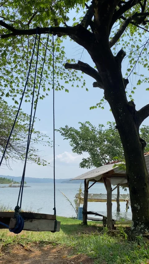 Empty swing 库存影片 333177825