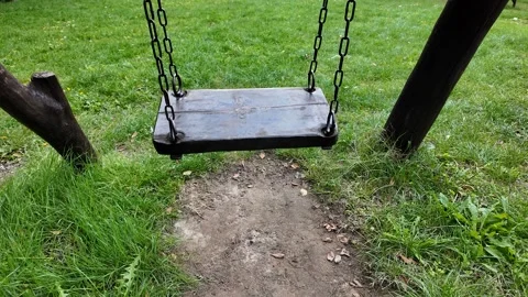 Empty Swing in Grassy Park Stock Footage 288831738