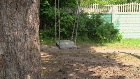 Empty swing hanging from tree in backyard Stock Footage 313673282