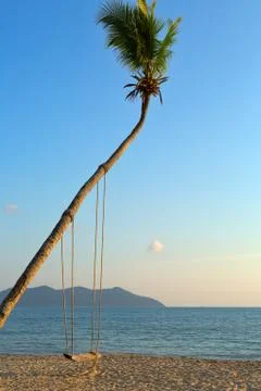 Empty swing hanging from a tree on romantic Stock Photos