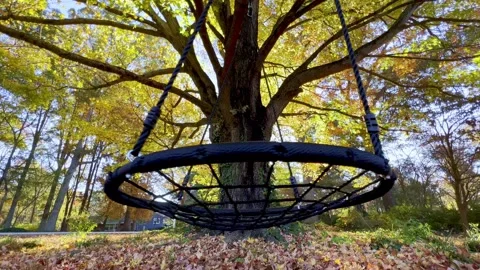 Empty Swing, Missing children, Miscarriage, swing in yard Stock Footage 255142908