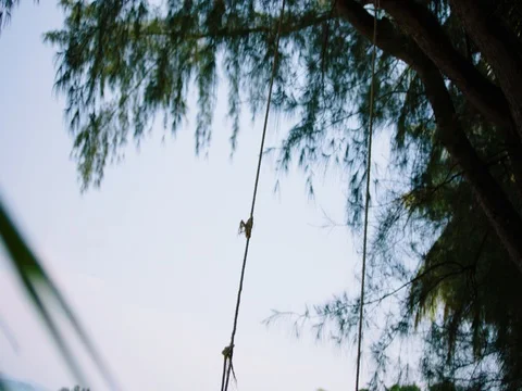 Empty swing by the ocean Stock Footage 81106493