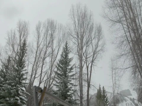 Empty swing at park during winter Stock-Footage 84502727