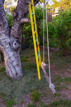 Empty swing placed in the garden Stock Photos