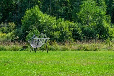 Empty swing rests in sunlit green field. Lush trees frame the background. Vin Stock Photos
