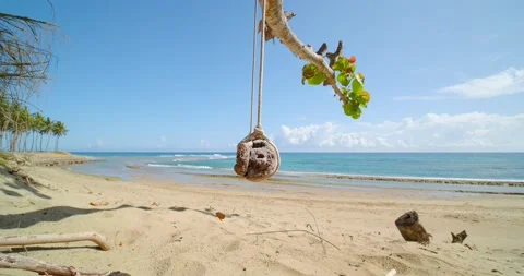 Empty swing on summer tropical beach next to the ocean. No people. Stock Footage 195506866
