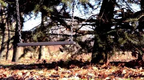 Empty Swing Swaying Stock Footage 50390039