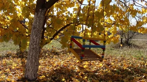 Empty swing swaying under the tree with yellow leaves. swing for kids Stock Footage 44216429