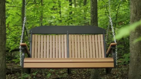 Empty Swing in Woods - Moving Видео 12099112