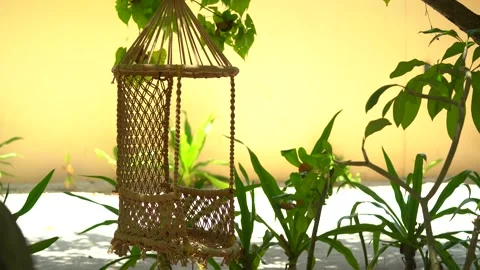 Empty, swingin hammock in the wind on a tropical beach landscape with palm trees Stock Footage 162224012