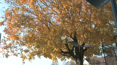 Empty Swings Stock Footage 281475