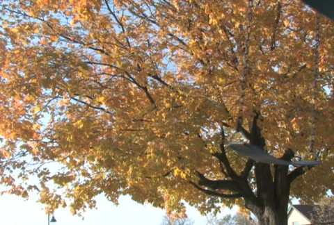 Empty Swings Stock Footage 283648