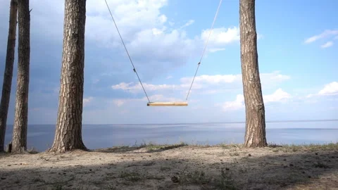 Empty swings in slow motion on tree trunks Stock Footage 170605188