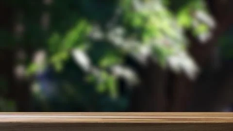 Empty Table and Forest in the Background. Stock Photos