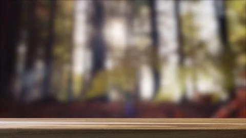 Empty Table and Forest in the Background. Stock Photos