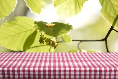 Empty table background Stock Photos