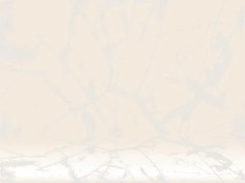 Empty Table with Grunge Tree Shadow on Wall Texture Background. Stock Illustration