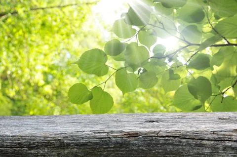 Empty table Stock Photos