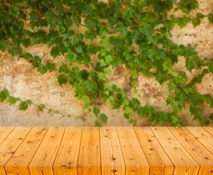 Empty table Фото