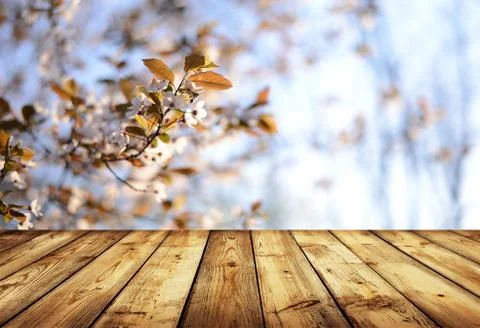 Empty table Stock Photos