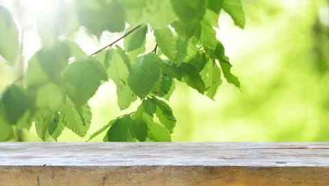 Empty table Stock Photos