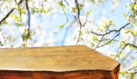 Empty table Foto stock