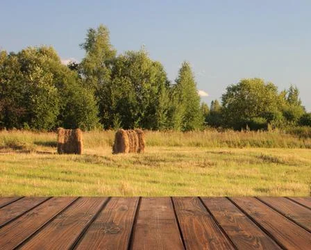 Empty table on a summer natural background. Foto stock