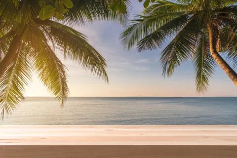 Empty table top with coconut palm tree and blue sky at tropical beach Fotos Stock