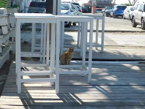 Empty tables in a cafe on the beach. Larnaca. Cyprus Stock-Fotos