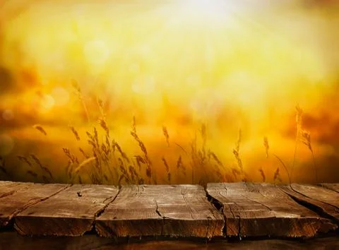 Empty tabletop layout in sunset afternoon Stock Photos