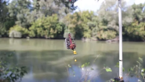 Empty tackle with corn on the hooks on the fishing rod Stock Footage 160890358