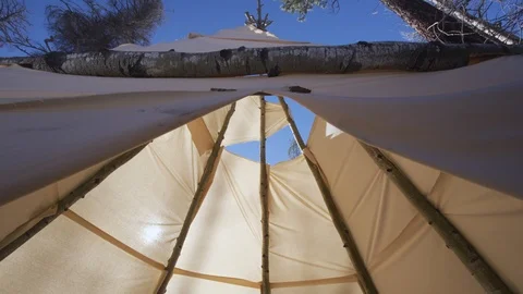 Empty tent in the forest on a sunny day Stock Footage 101201788