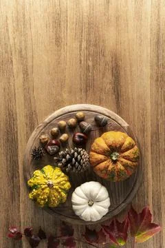 Empty Thanksgiving background with pumpkins Stock Photos
