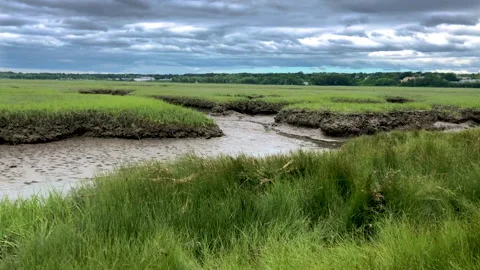 Empty Tidal River Stock Footage 200903677