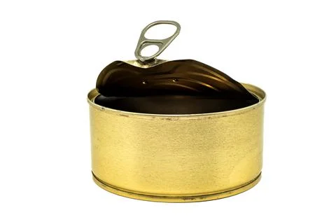 Empty tin can with an open lid on a white background close-up. Tin Can Isolat Stock-Fotos